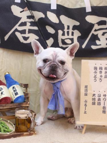 20240626ブーくん